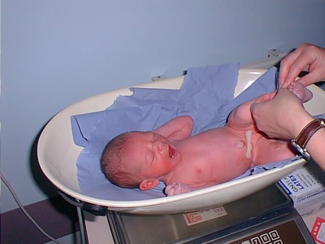 Weighing 6lb 14oz